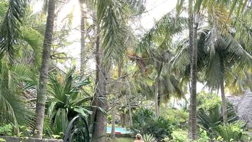 Quang cảnh vườn