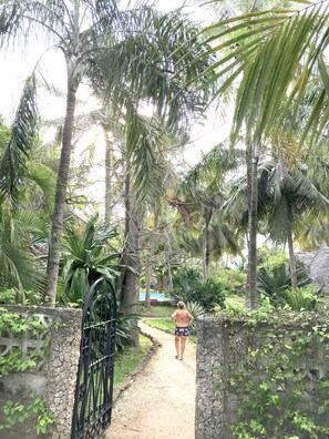 Quang cảnh vườn