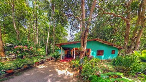 Una casa rodeada de exuberante follaje, con un sendero de tierra que conduce a la entrada.