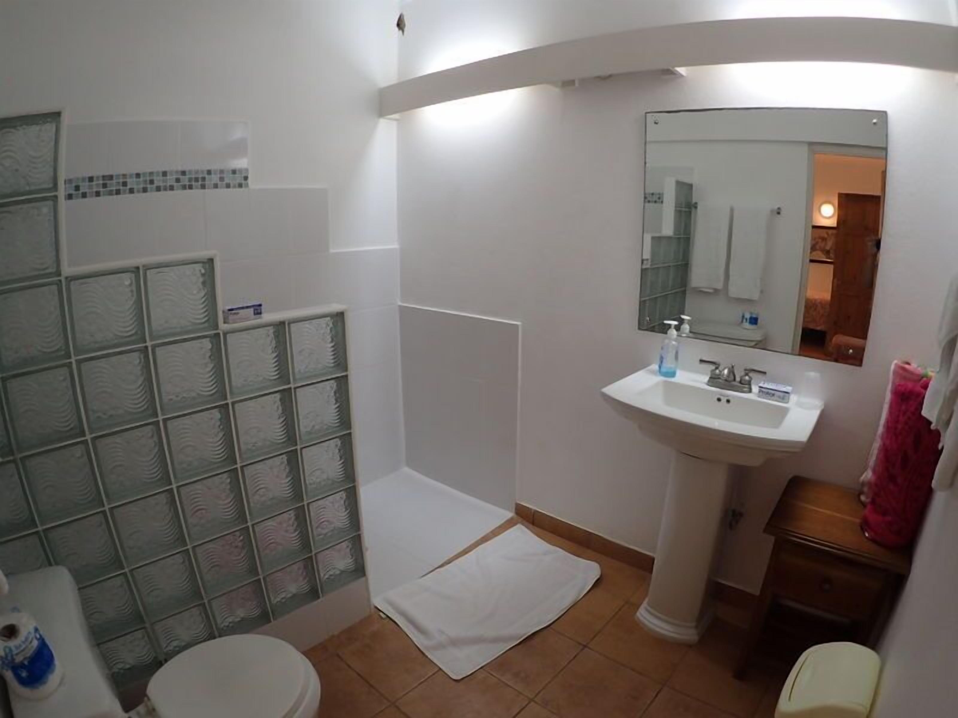 Un baño con cabina de ducha de vidrio, un lavamanos blanco y un espejo encima.