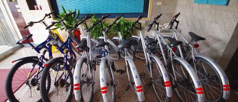 A row of bicycles with numbered locks, a potted plant, and a view of a blue wall.