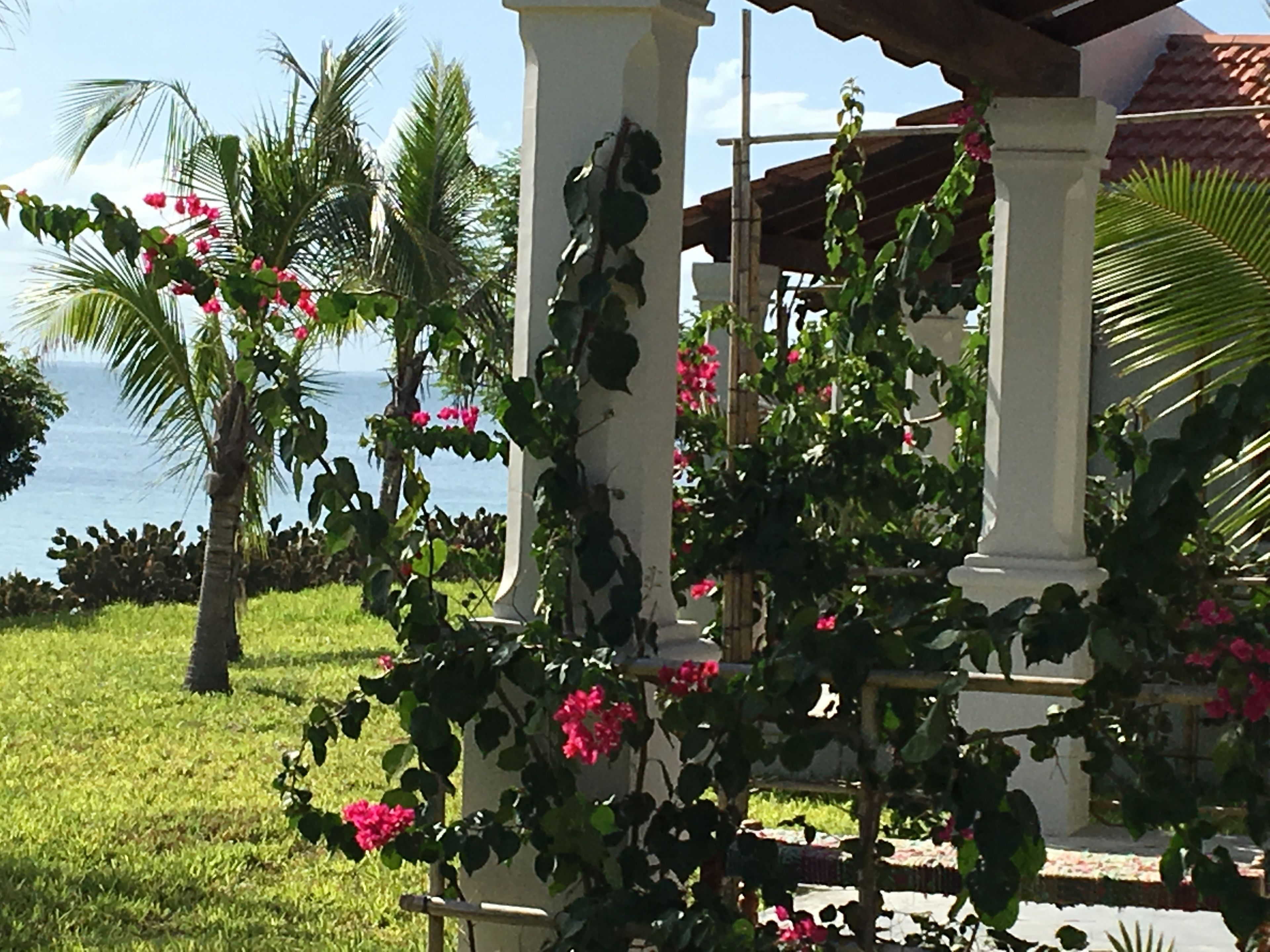 Un jardin agrémenté d’un kiosque, de palmiers et de fleurs roses.