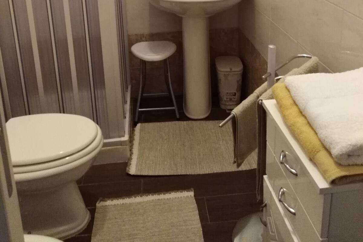 Un baño con inodoro, lavamanos y ducha.