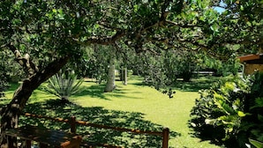 Un jardin luxuriant avec un banc en bois et un chemin pavé.