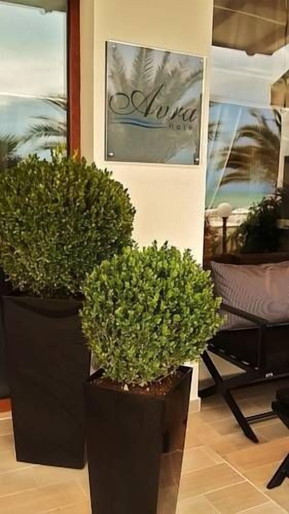 Two potted plants in a hotel lobby.