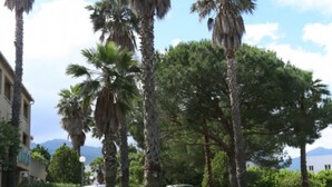 A stone pathway leading through a grassy area with palm trees and a building in the background. - Cors Hotel (Biguglia)