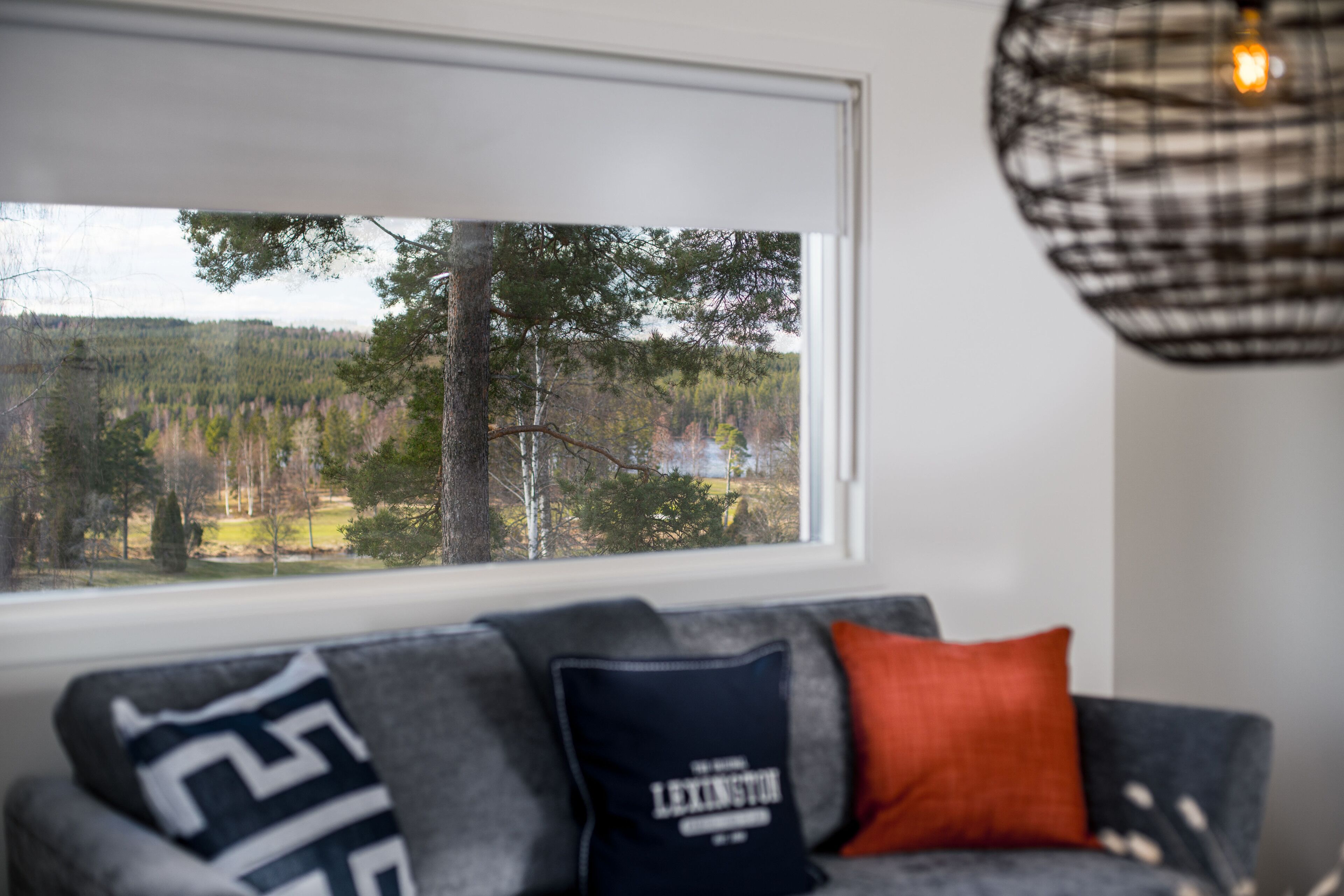 A room with a view of a forest through a window, a gray sofa with patterned cushions, and a pendant light.