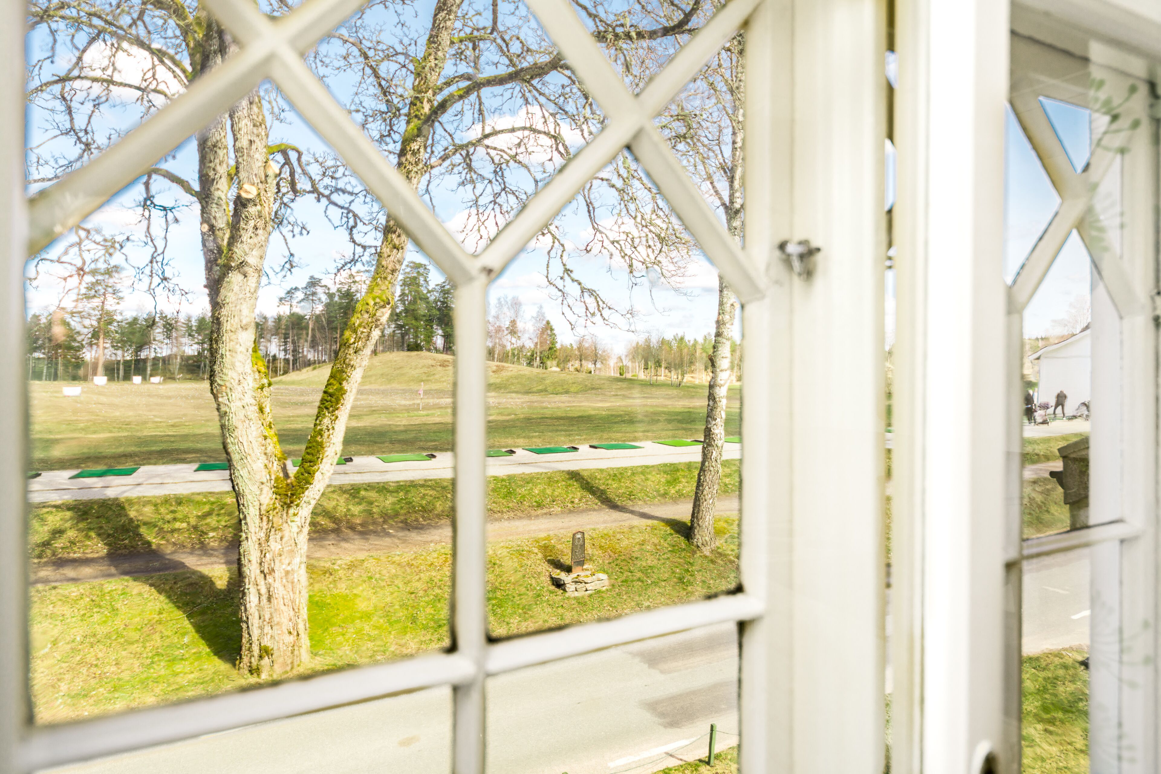 A view through a window with a white frame, showing a grassy area with trees and a path.