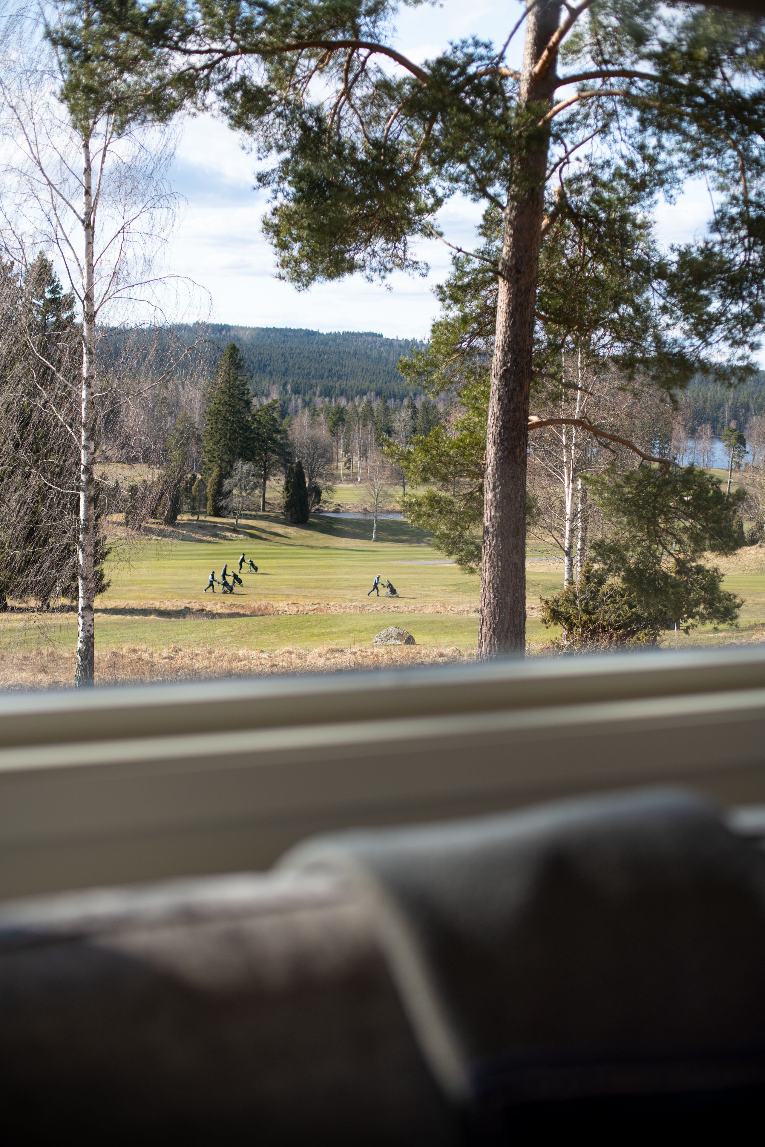 A view of a grassy field with trees and a distant forested area.