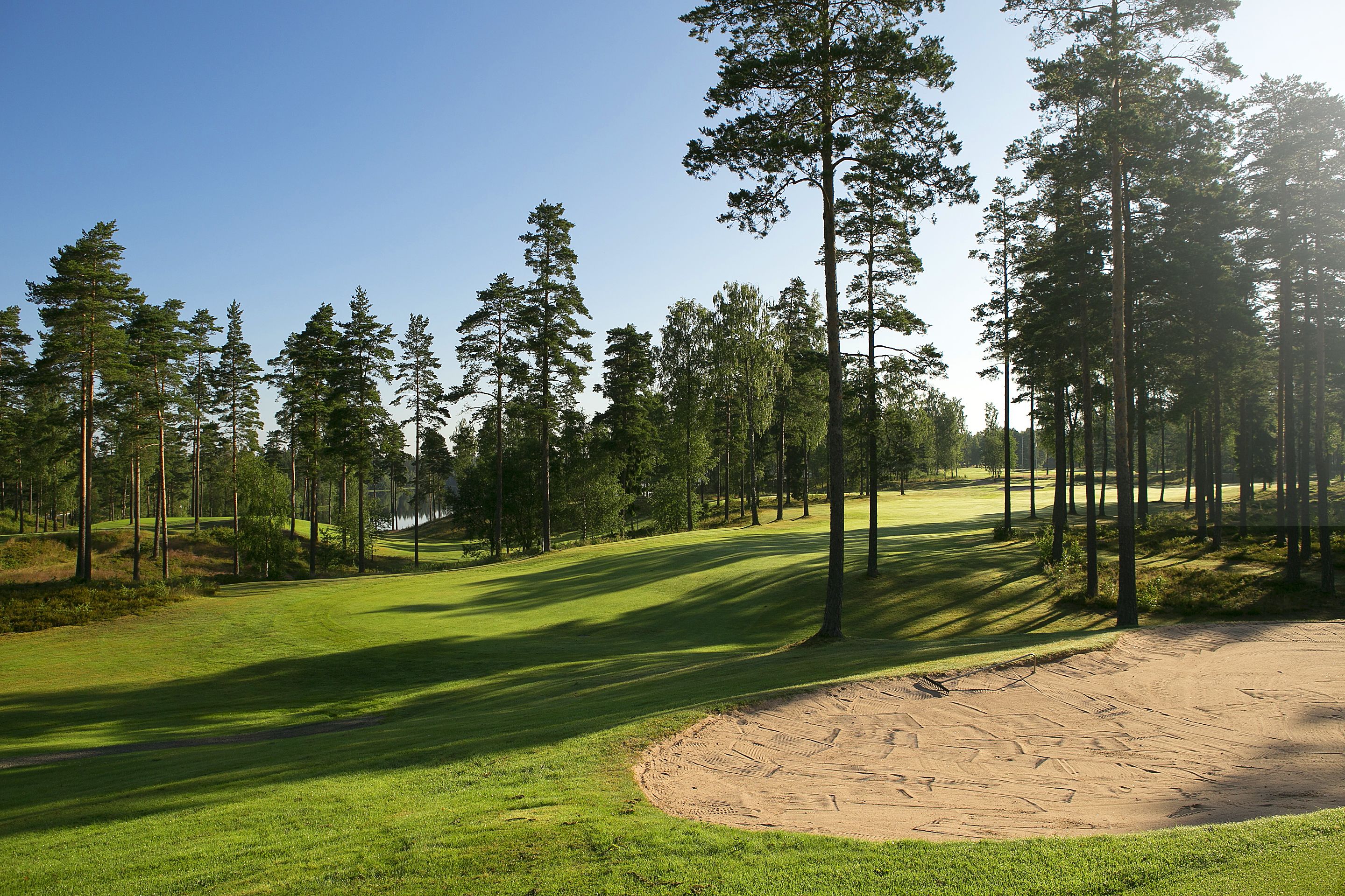 A golf course with sand bunkers, trees, and a clear sky.