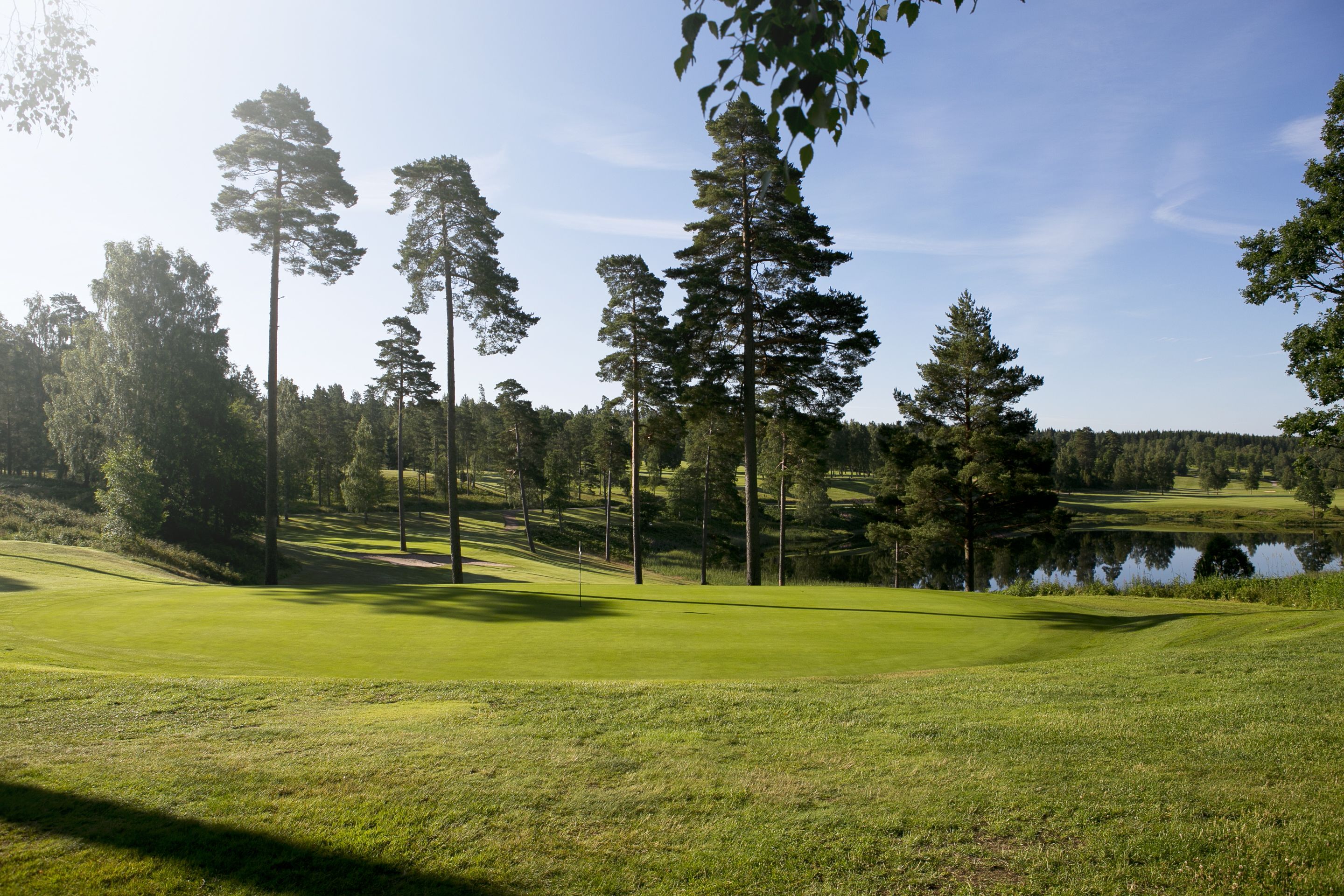 A golf course with a pond, surrounded by tall trees and a clear sky.