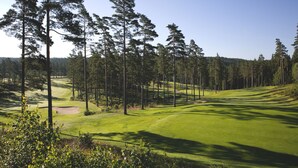 Un campo de golf con un camino despejado, búnkeres de arena y altos pinos.