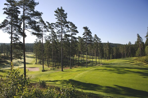 A golf course with a clear path, sand bunkers, and tall pine trees. - Isaberg Golfklubb (Hestra)