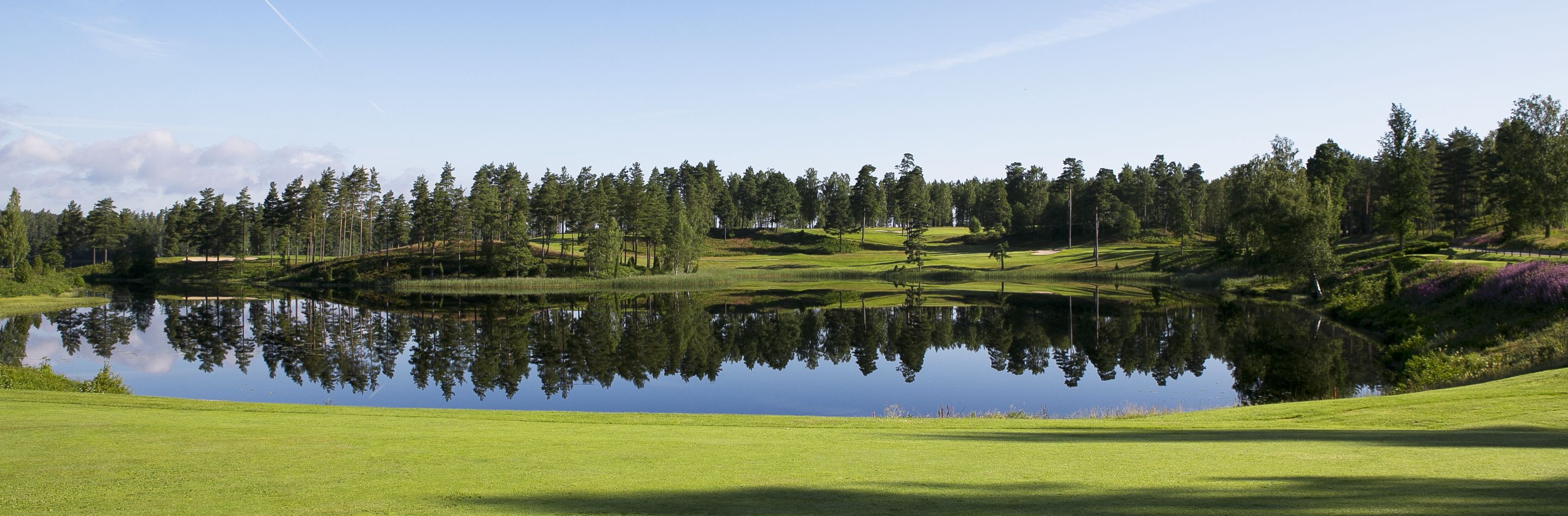 A serene golf course with a pond reflecting trees, surrounded by a dense forest.