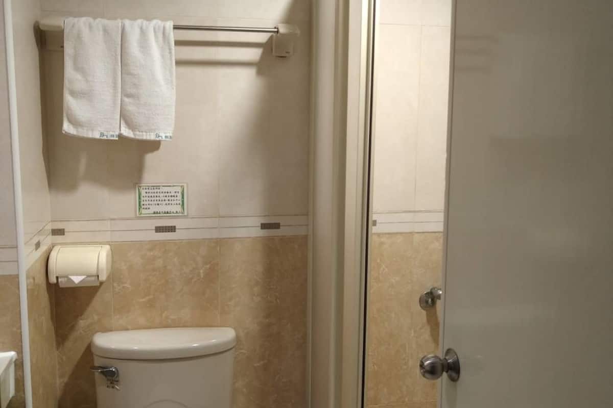 shower, free toiletries, hair dryer, slippers