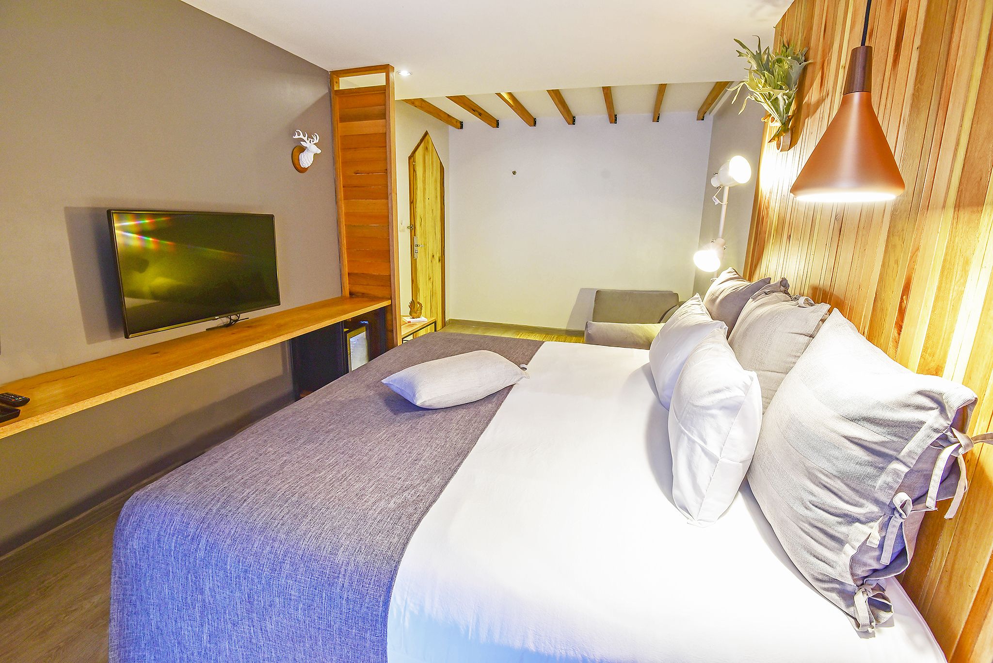 A hotel room with a bed, a TV mounted on the wall, a wooden ceiling, and a plant on the wall.