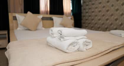 Bucharest Center Villa