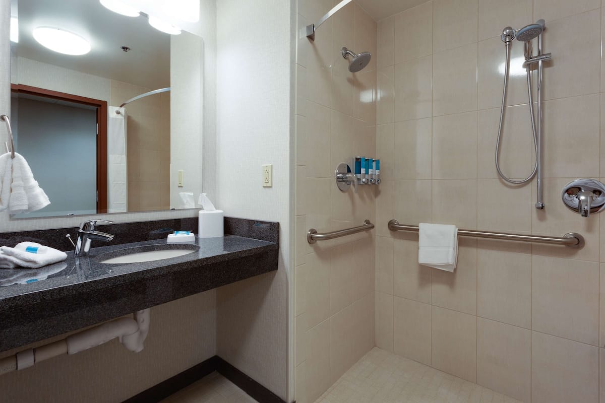 combined shower/bathtub, free toiletries, hair dryer, towels