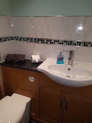 Combined shower/bathtub, free toiletries, towels, shampoo