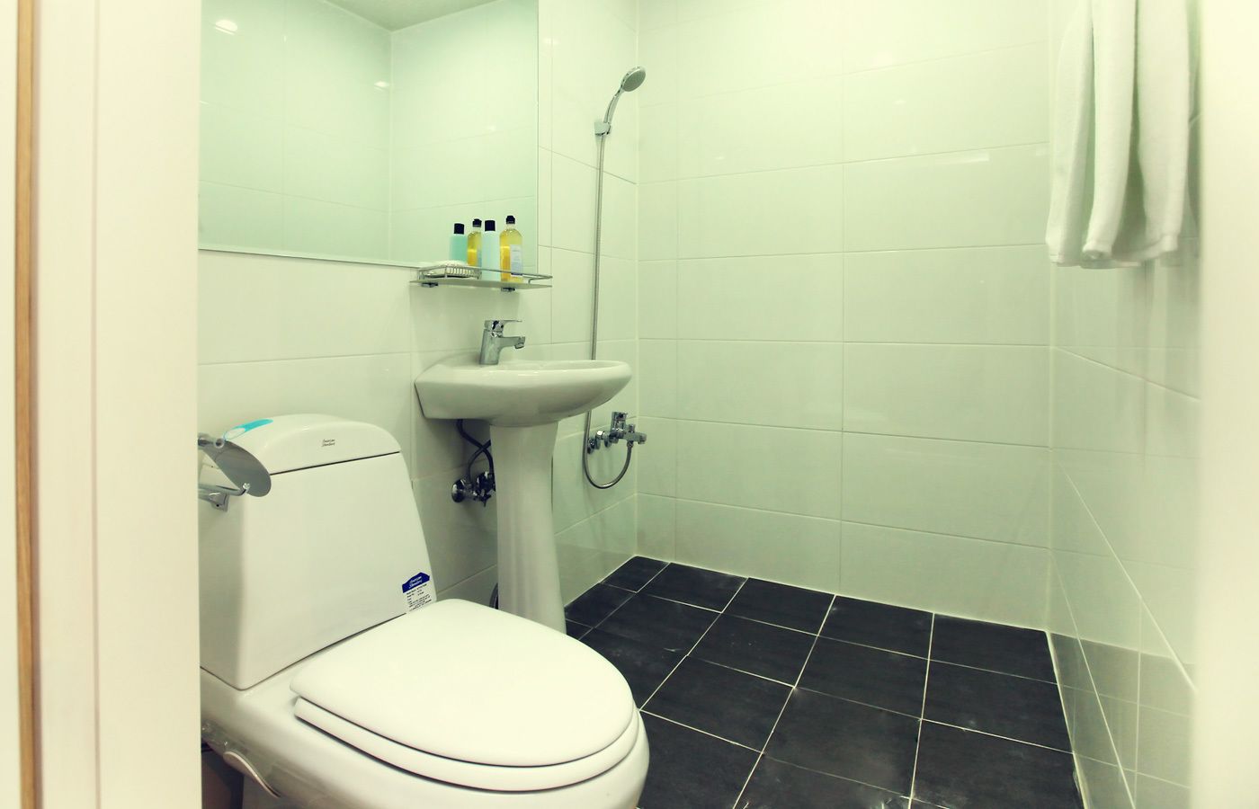 Douche, articles de toilette gratuits, serviettes fournies