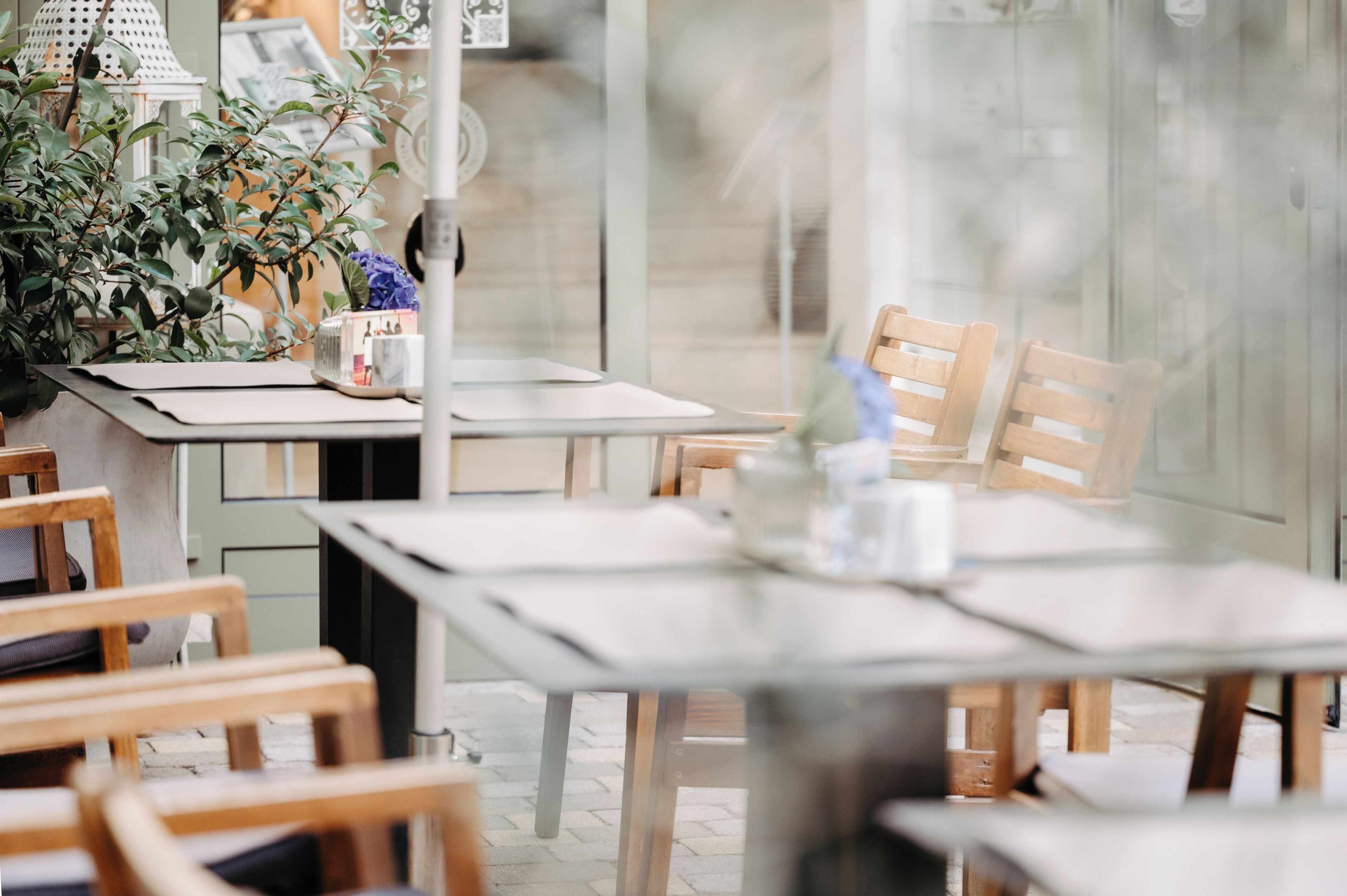 Un restaurante con sillas y mesas de madera, una planta en maceta y un panel de vidrio.