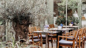 An outdoor seating area with wooden tables and chairs, a large tree, and a glass wall. - Das Stadthaus (Neusiedl am See)