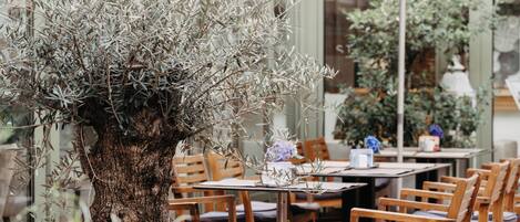 Un área de estar al aire libre con mesas y sillas de madera, un árbol grande y un muro de cristal.