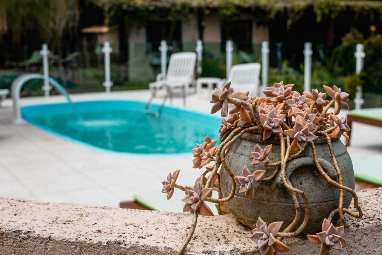 A pool area with a concrete planter filled with succulents and a pool in the background.