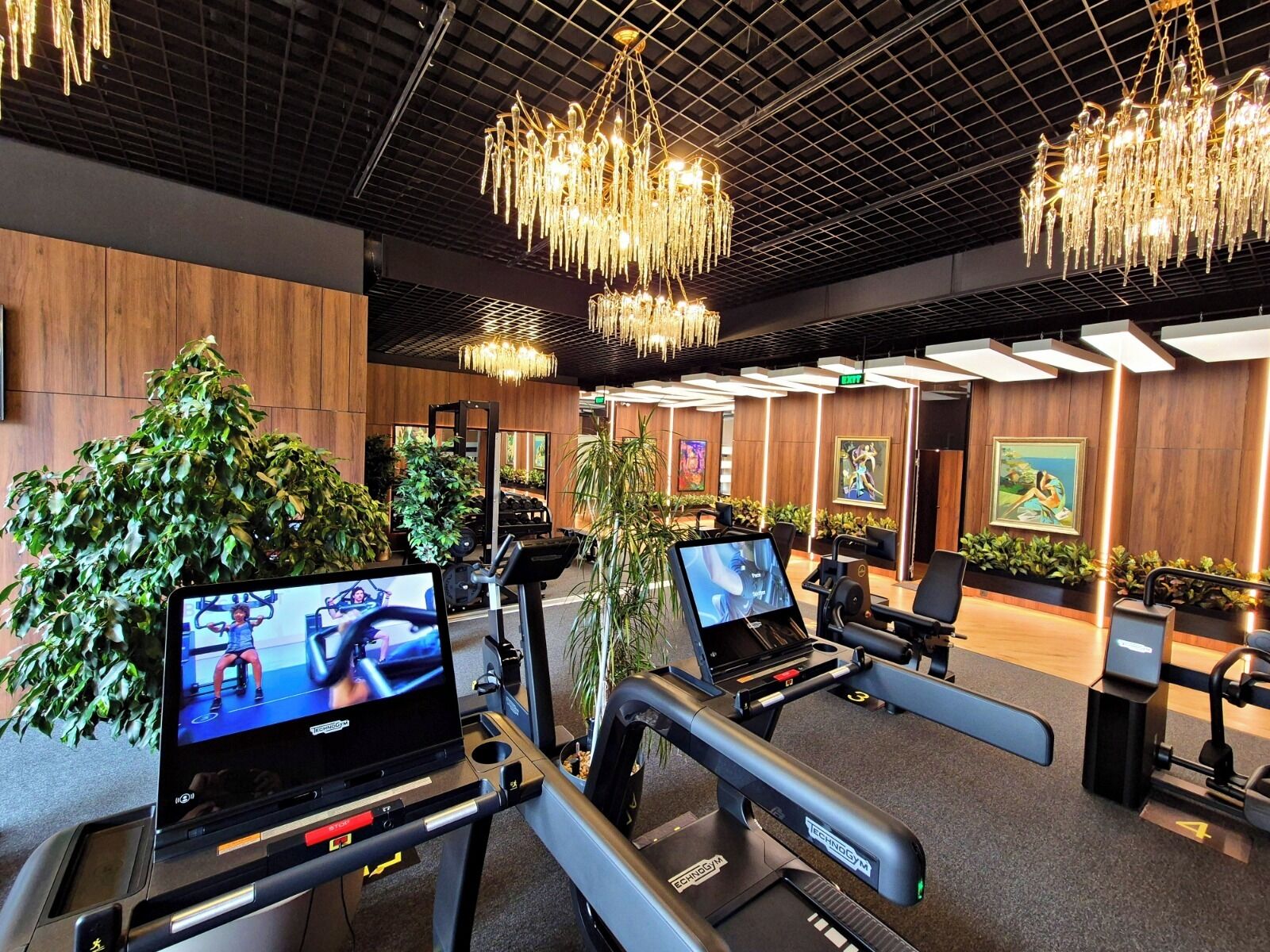Een fitnessruimte met loopbanden, trainingsapparatuur en grote ramen.