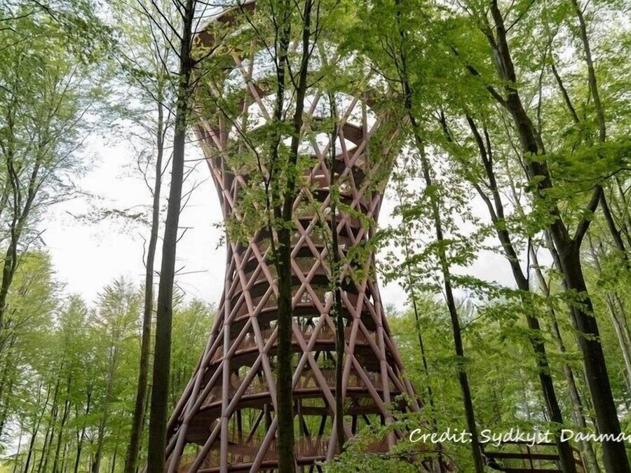 A tall, lattice-structured tower in a forest.