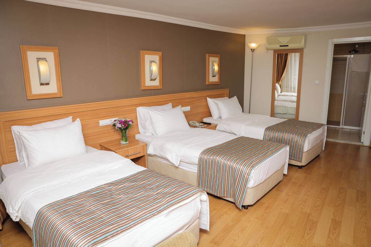 Standard Triple Room | Minibar (free items), in-room safe, desk, laptop workspace