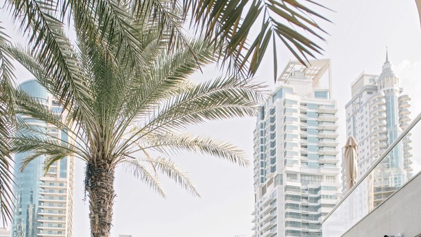 Unclassified image, 1 of 53, button - Boutique Living - Park Island Dubai Marina (Dubai)