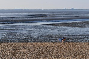 Pantai