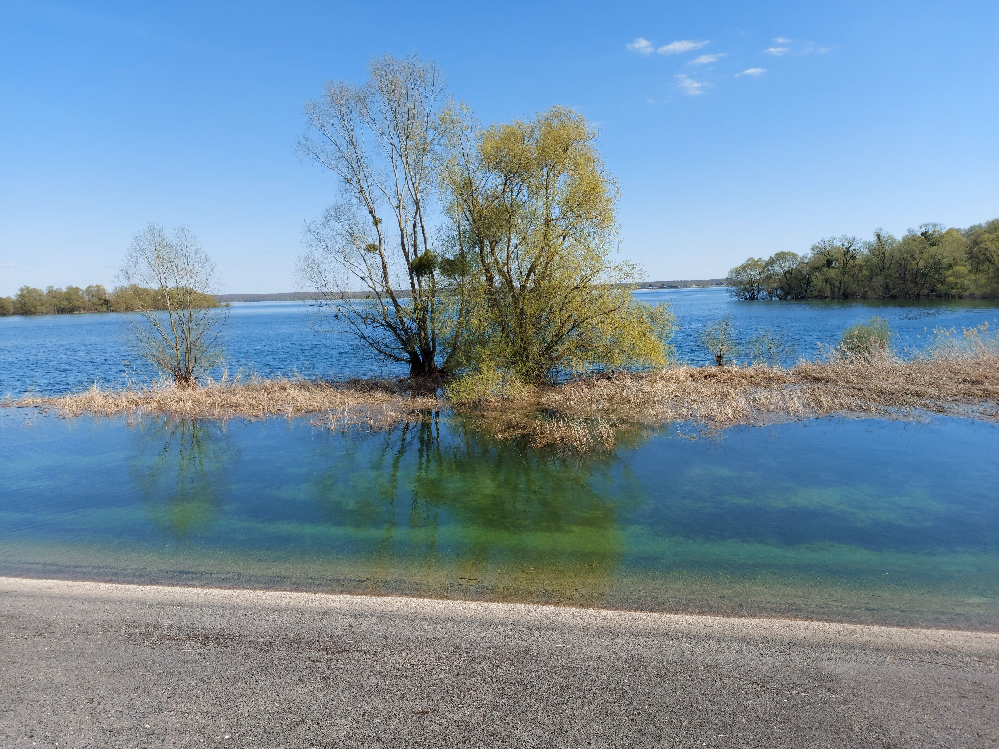 Foto - Ome sweet home