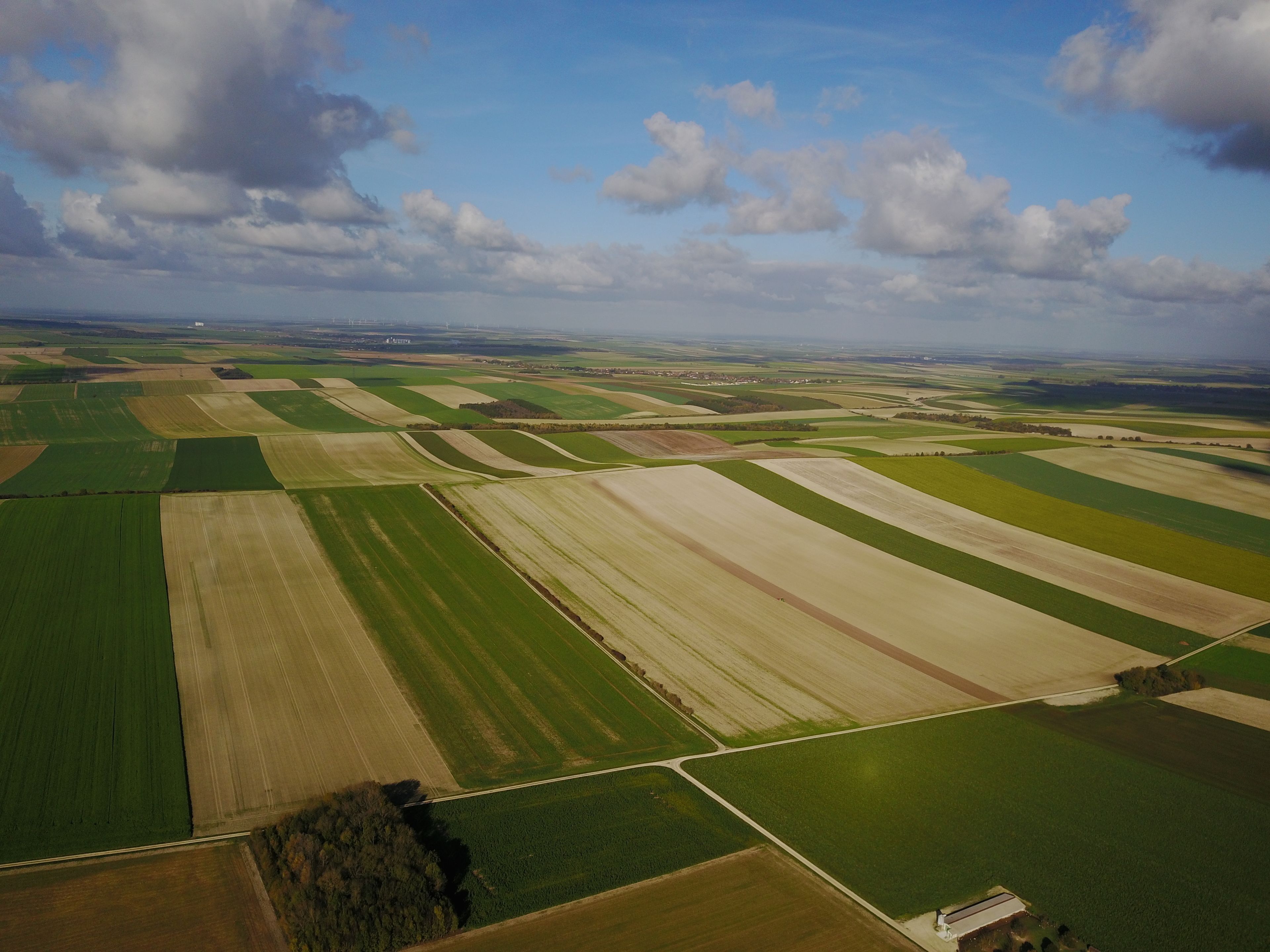 Foto - Ome sweet home