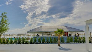 Un bar situé en bord de mer, avec des tables à l’extérieur et des parasols, offrant une vue sur l’océan.