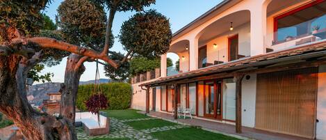 Una casa moderna con un camino de piedra, un césped cuidado y un árbol grande.