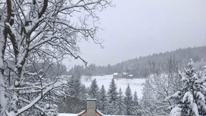 A snow-covered landscape with a house featuring a prominent chimney, surrounded by snow-laden trees and a distant view of a forested area. - Apartments Holiday Pec (Pec pod Snezkou)