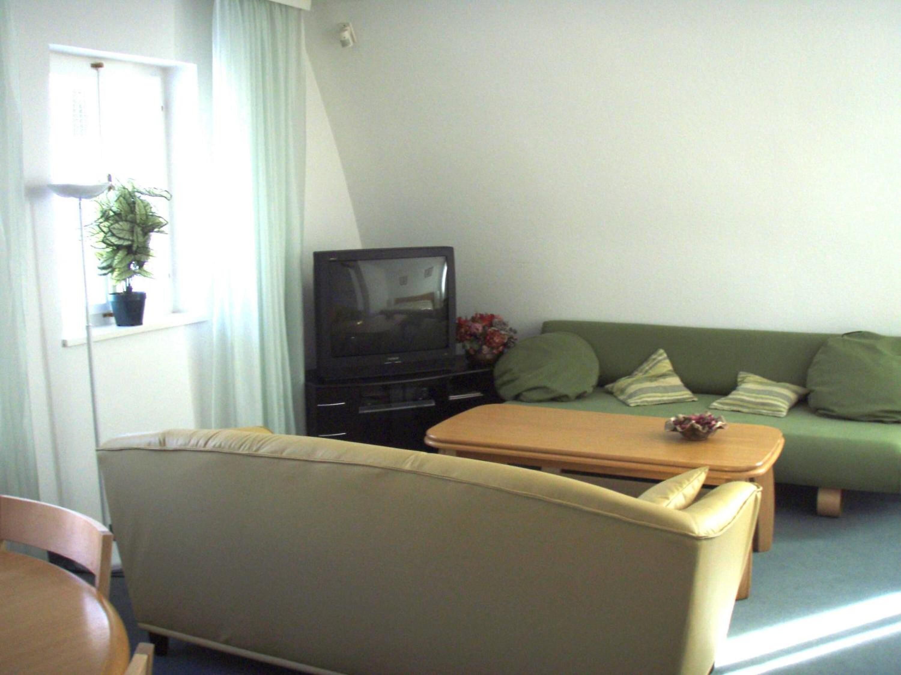 A living room with a sofa, a television, a small table, and a potted plant.