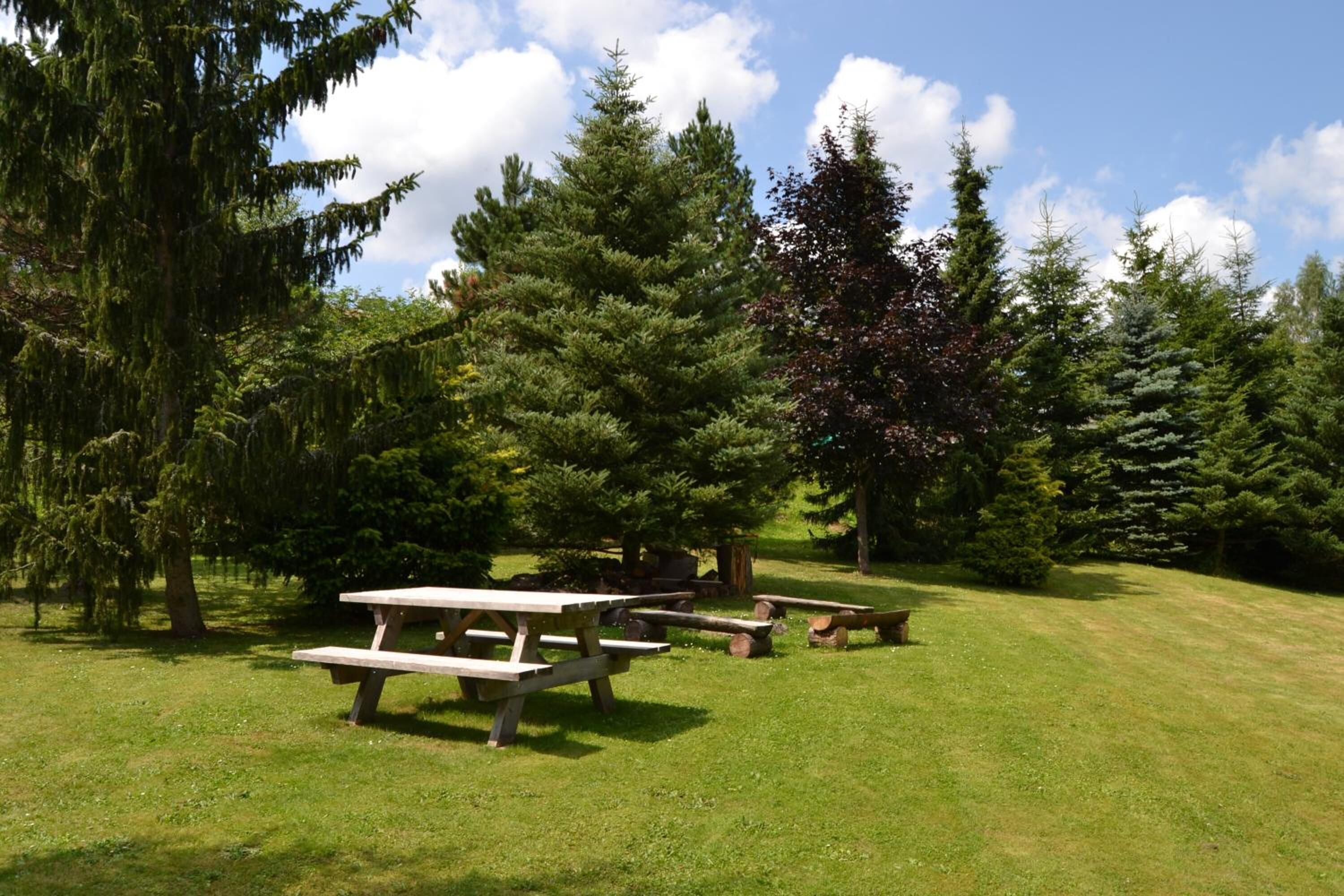 Un área de picnic con bancos y árboles.