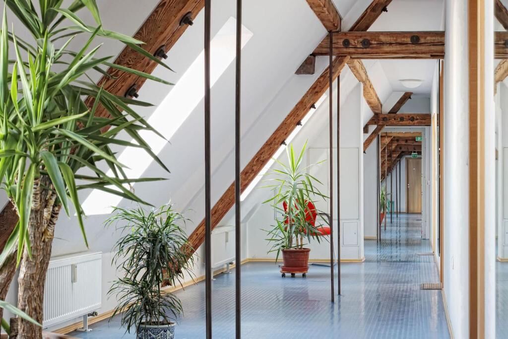 Un interior con techo inclinado, vigas de madera y plantas en macetas.