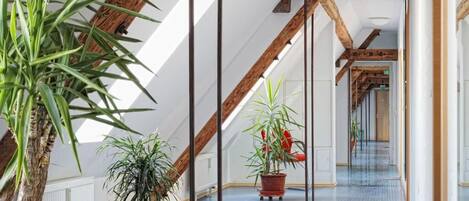 Un interior con techo inclinado, vigas de madera y plantas en macetas.