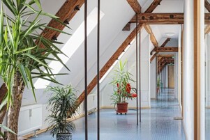 An interior with a sloped ceiling, wooden beams, and potted plants.