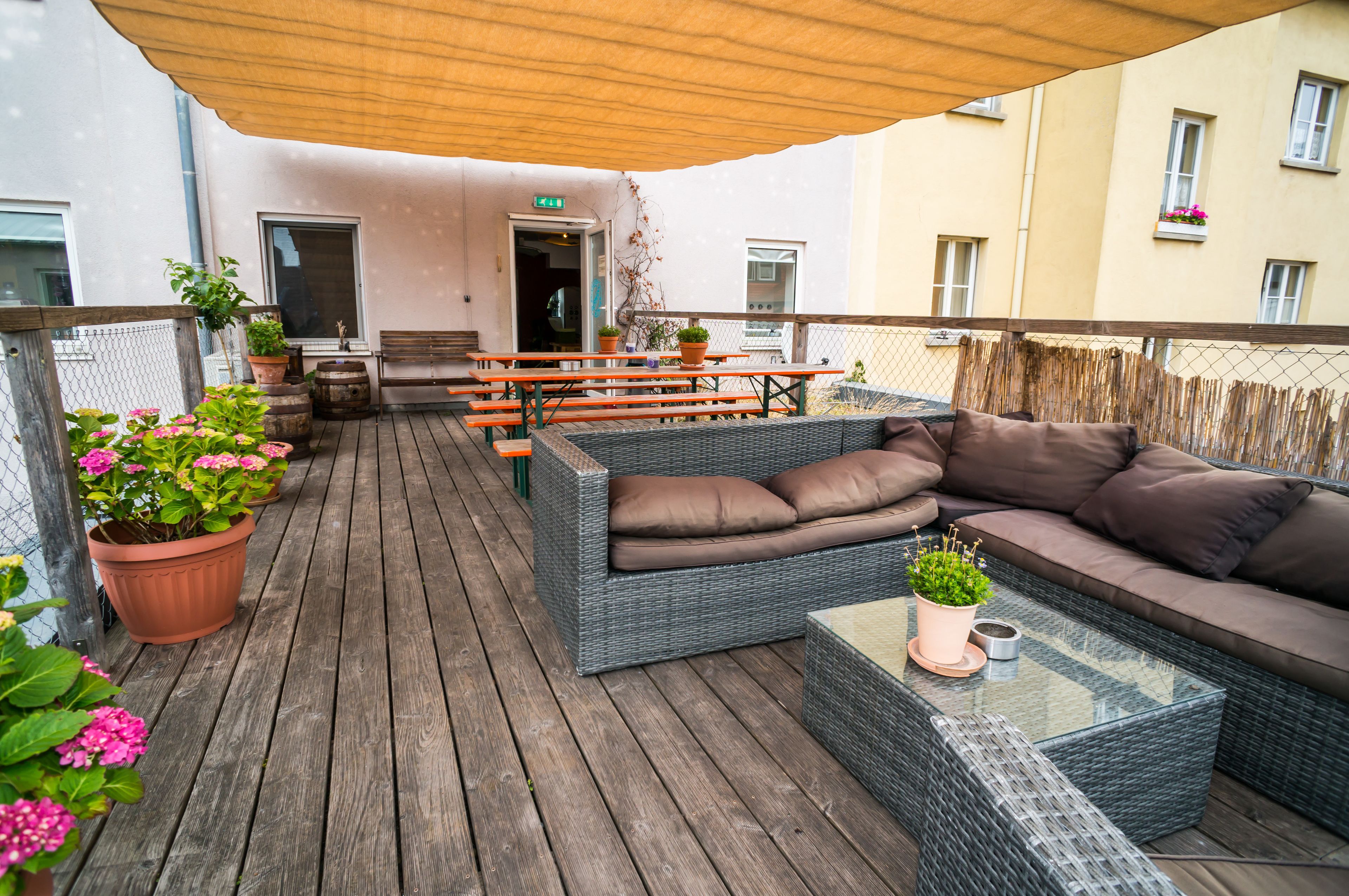 Solárium. Babelfish Hostel