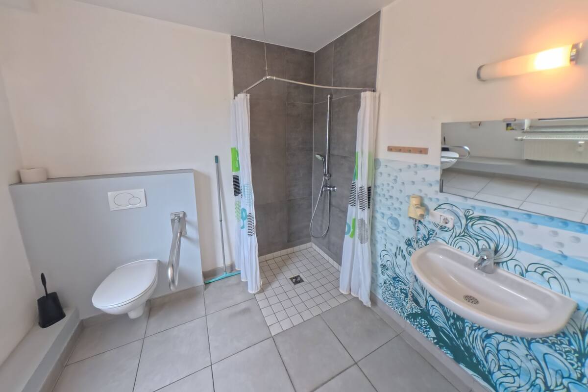 Habitación con 1 cama doble o 2 individuales, baño privado | Baño accesible en silla de ruedas