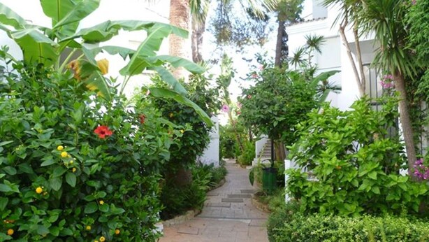 A narrow stone pathway flanked by lush greenery and flowering plants, leading to a white building with a visible staircase. - Duplex Penthouse Lunamar (Marbella)