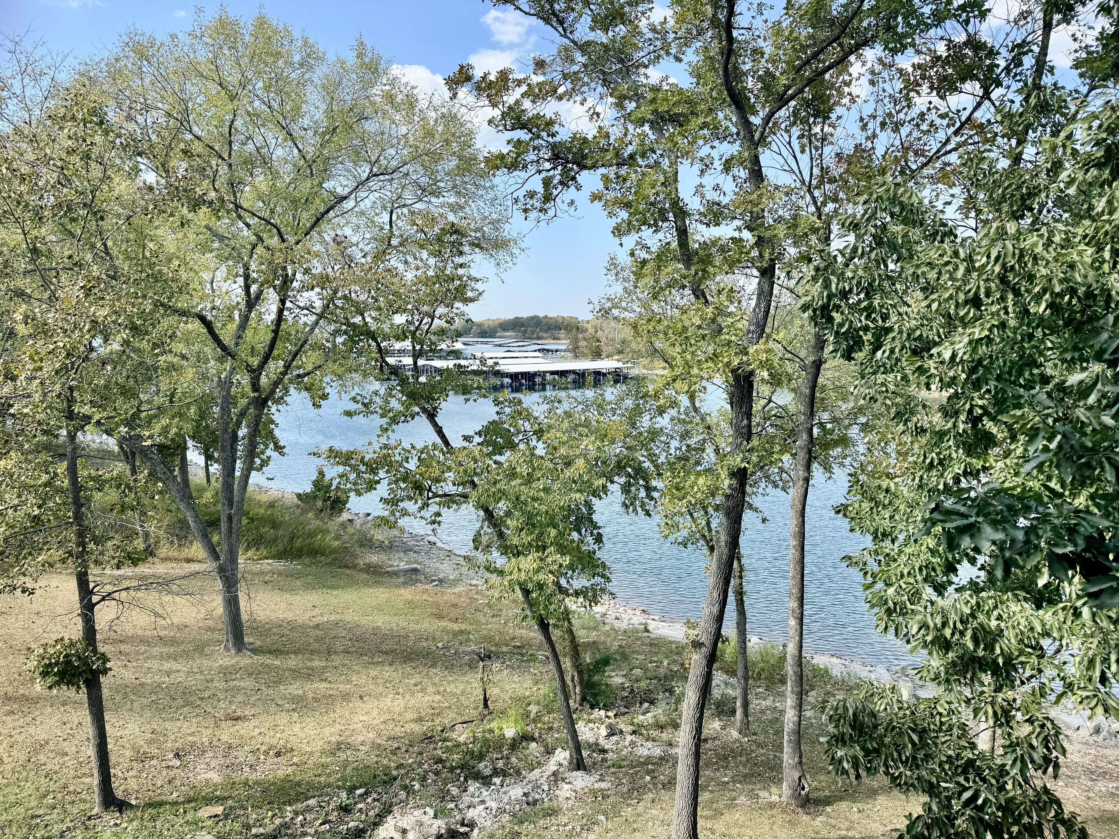 A lakeside view with trees and a dock.