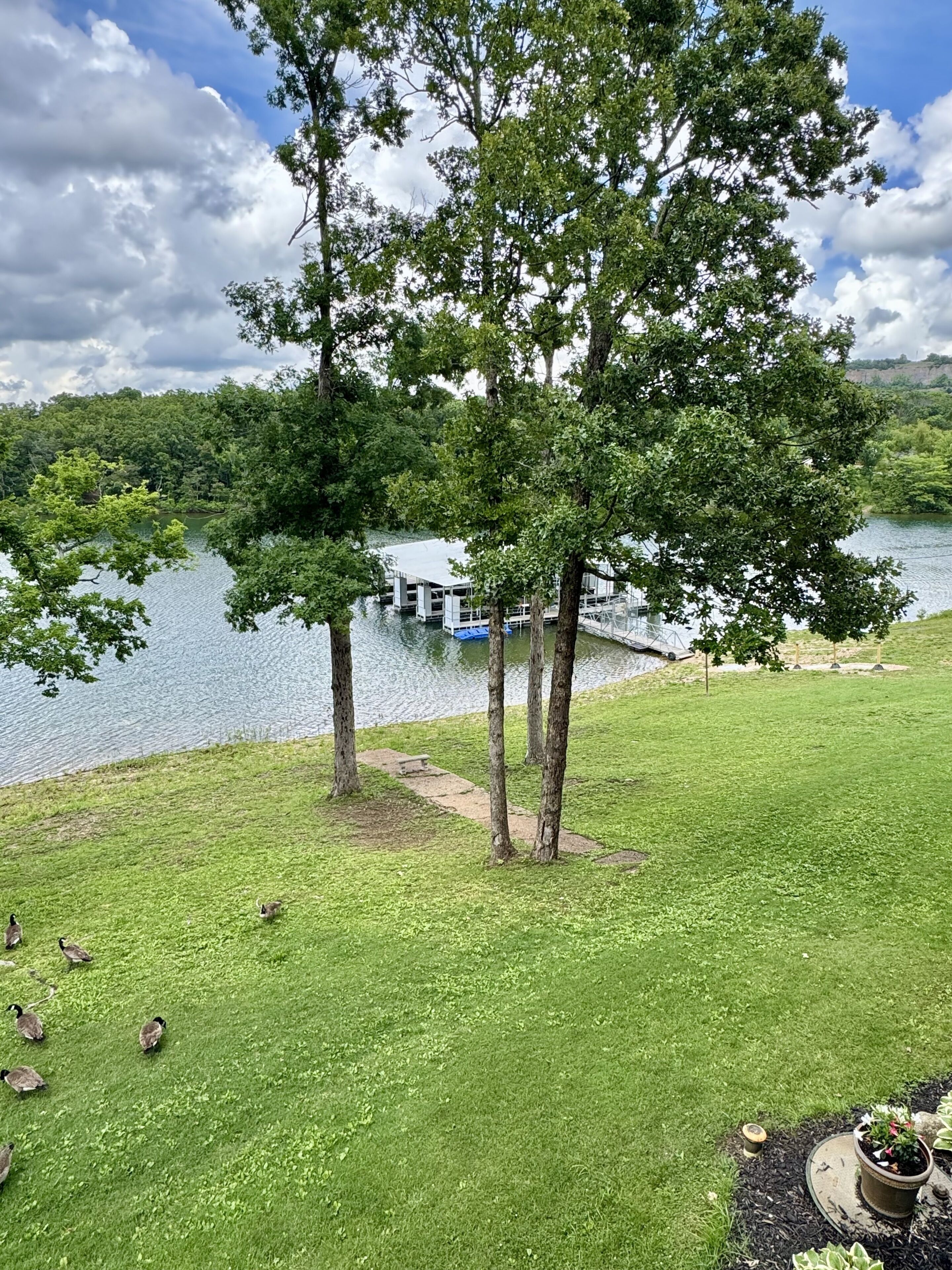 A grassy area with trees and a lake view.
