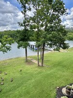 A grassy area with trees and a lake view.