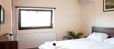 A hotel room with a bed, a window, a radiator, an air conditioner, and a small plant.